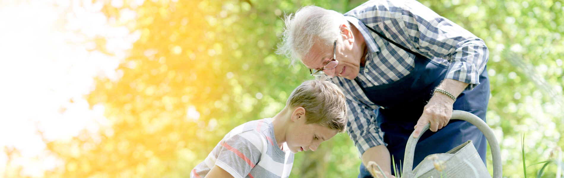 Grandson and Grandad Gardening